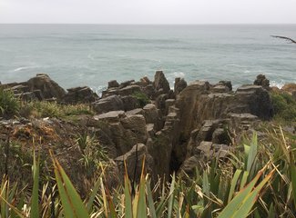 新西兰房车15天攻略,房车旅行记新西兰