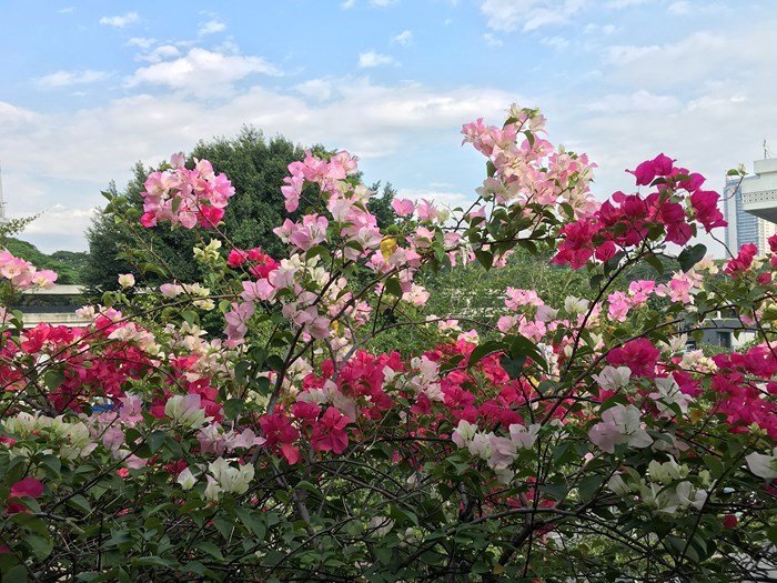 暑假新加坡马来西亚自由行,寒假带孩子去新加坡游玩攻略