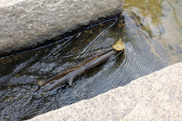 一个长得像李小龙的男人，在长泰一村子里，建了个千与千寻的奇幻世界
