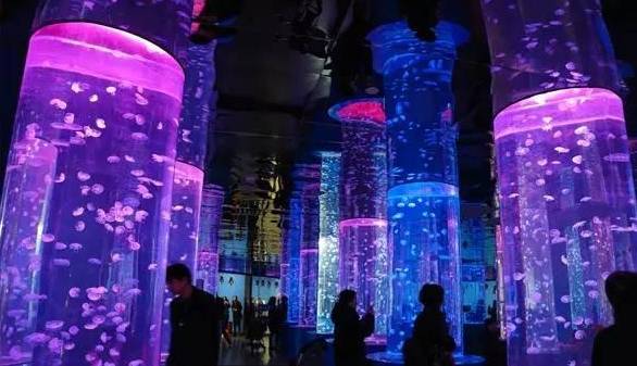 周末恰逢圣诞，去这些好玩的地方就对了！