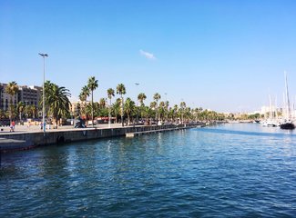 法兰西板鸭,板鸭西班牙语