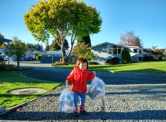 《小丫头的奇异之旅》第11章，第十天，周三