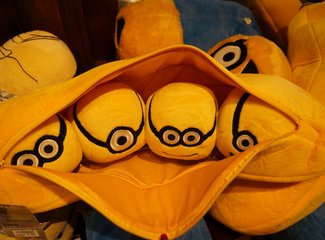 再入关西——现代的大阪，古典的京都