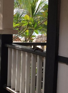 热浪岛当地旅游团,热浪岛浪中岛双岛游