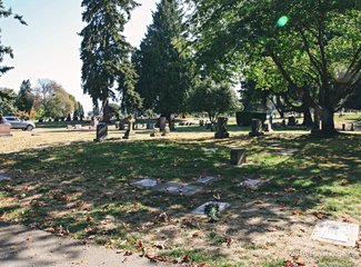 西雅图极光攻略,费尔班克斯极光旅游攻略