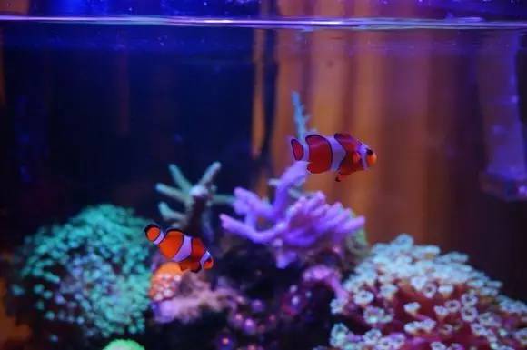 玩的真溜,三千玩出了三万的水平!