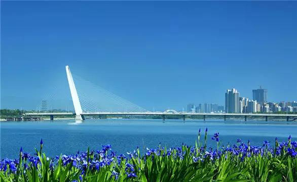 西安七大富人,西安十大富豪区