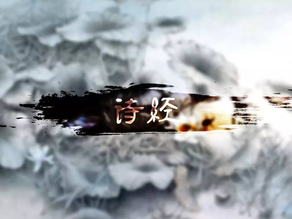 诗经里的爱情美图,诗经中有女怀春吉士诱之的诗句