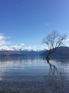 新西兰南岛11天自驾游攻略,新西兰北岛自驾游15天攻略