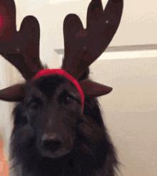 信息快报｜第278期（今日共18条）现在当爹的都有套路了！