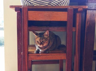 吃货的天堂推荐,吃货的天堂潮汕