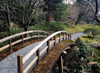 逛不尽的东瀛－二刷日本十五天