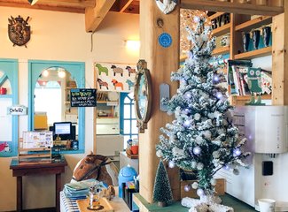 济州岛游记记录,济州岛的春天旅行日记