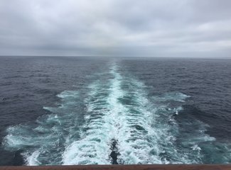 新世纪号邮轮旅游攻略,家庭游轮出游