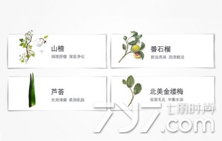 娇韵诗黄水柑橘保湿滋润测评,娇韵诗黄水绿水粉水有啥区别