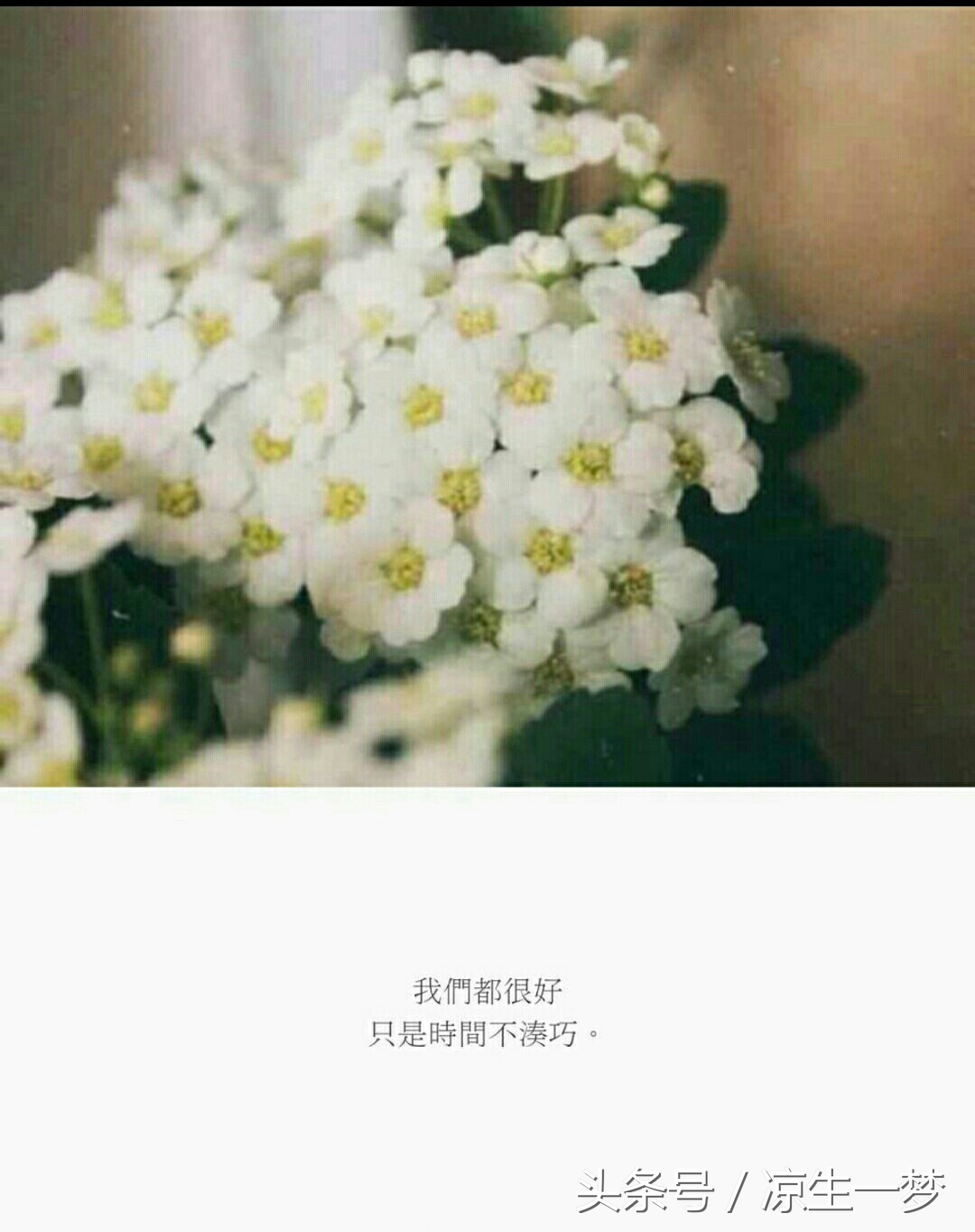 女生问我给你介绍一个女朋友吧,给你介绍个女朋友吧怎么回答