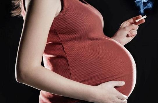 狗狗会引起死胎的征兆,狗狗导致人流产