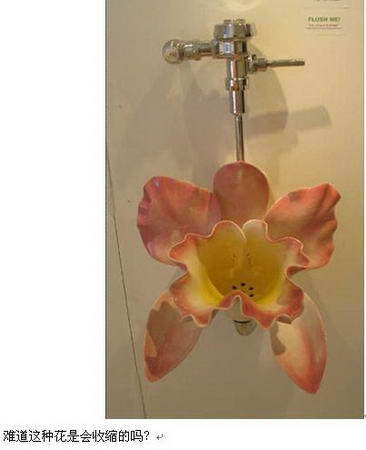 我们今天来盘点一下各种奇葩马桶,世界上最奇葩的九种马桶