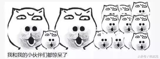 （第二季）没钱也能装得起，这几款市场少见的平价套盒，送礼不难