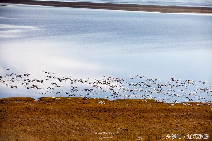 冰岛的两点自然奇景,真实的冰岛全景
