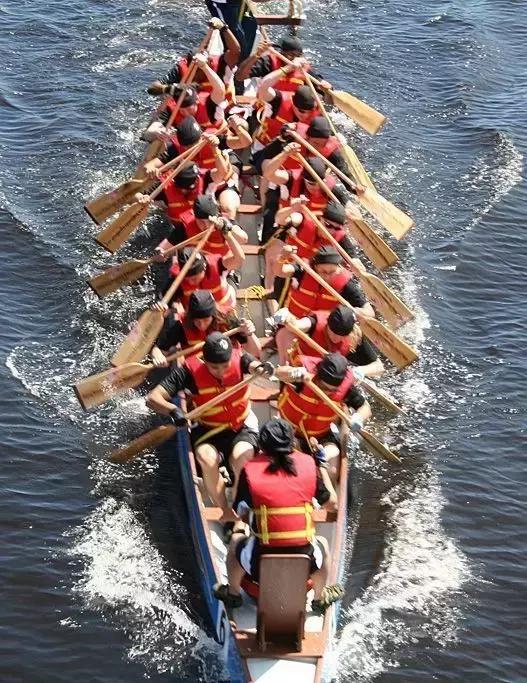 和大象拔河比赛,大象跟大象拔河