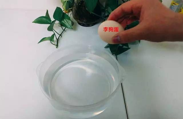 鸡蛋遇到什么会变成弹力球,用白醋泡鸡蛋变成弹力球