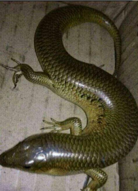 这网友玩LOL挂机理由我服，网吧着火了，我要走了！