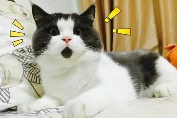 治咳嗽最快的一招,治咳嗽最快的一招仅需10分钟