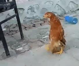 异地女友寄的一箱礼物,异地恋对象邮来的礼物