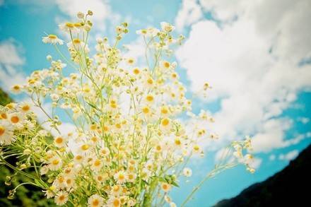 英语电影台词经典语录,英语经典电影台词