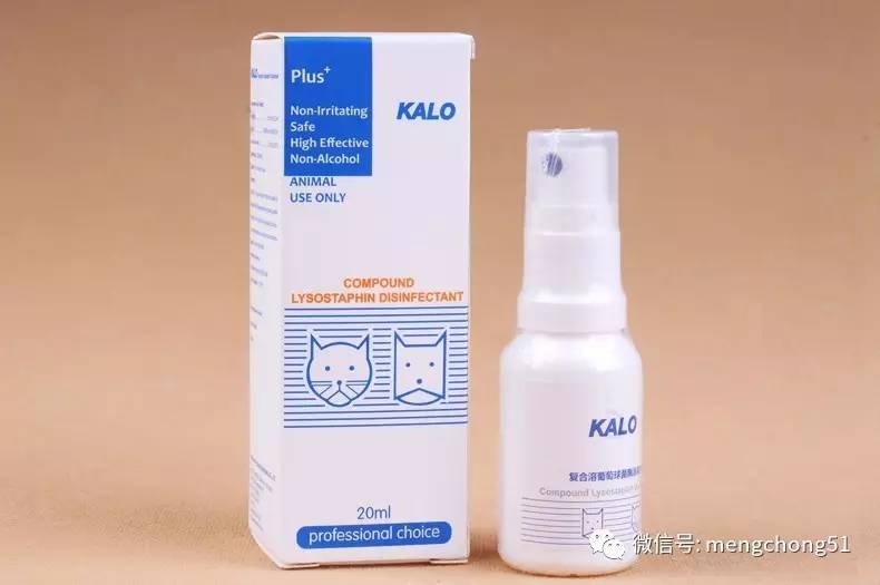 家有猫癣怎么消毒,家猫得了猫癣怎么预防传染人