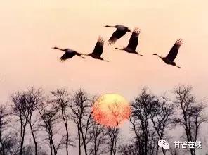 甘谷民谣15首,甘谷谣经典歌曲