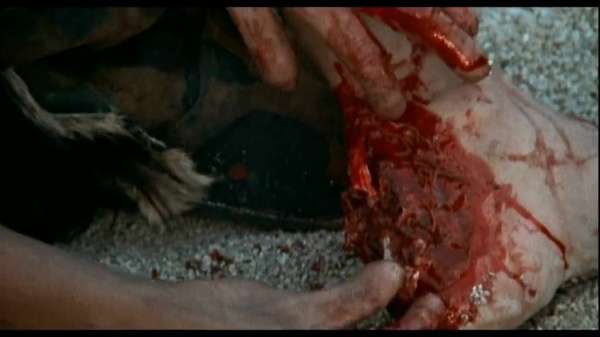 全球十大恐怖禁书改编的电影,根据真实改编的恐怖电影