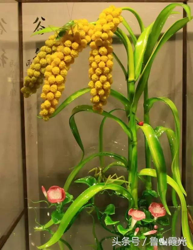 魅力龙泉,龙泉镇富硒采摘园