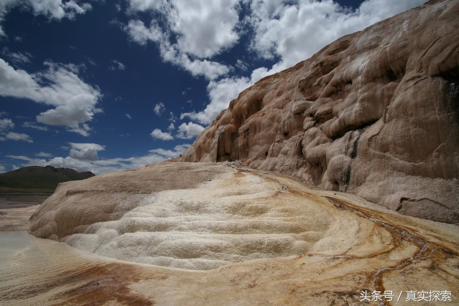 荒野求生秘籍完整版,荒野自救教程
