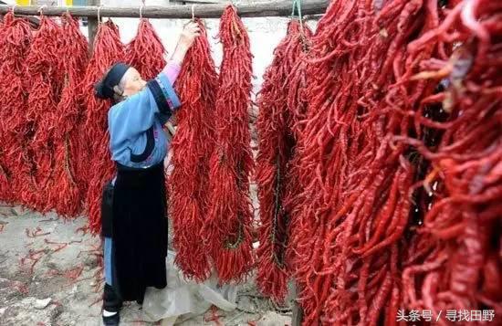 乡食记——袁复生：猪血丸子的“*弹炸**”传说