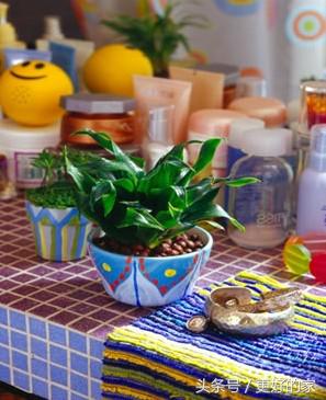 旧花盆改造收纳盒,废物利用收纳小花盆