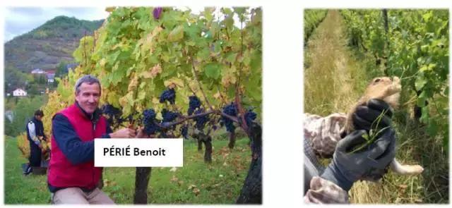 如何避免同质化竞争?看完这十个海外商业项目,或许能找到答案