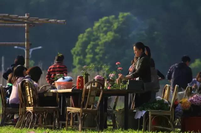 旗溪生活农场团购,旗溪生活农场