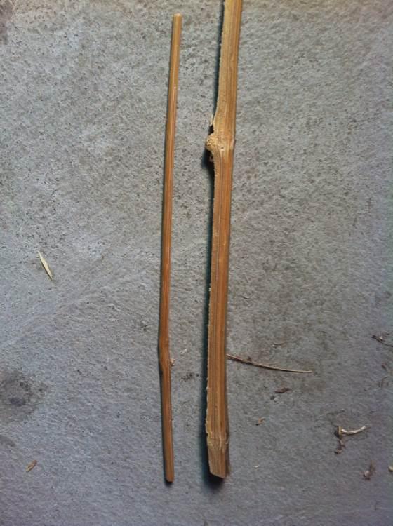 如何用竹子制作钓鱼竿,用竹子自制钓鱼竿方法