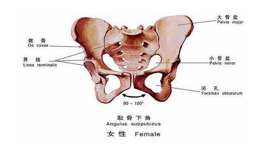 30周有宫缩要注意什么,从怀孕到育儿注意事项