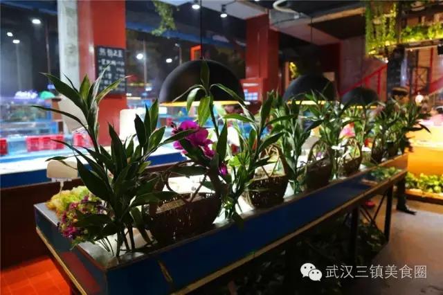 “蒸鲜”恐后来灰鲸