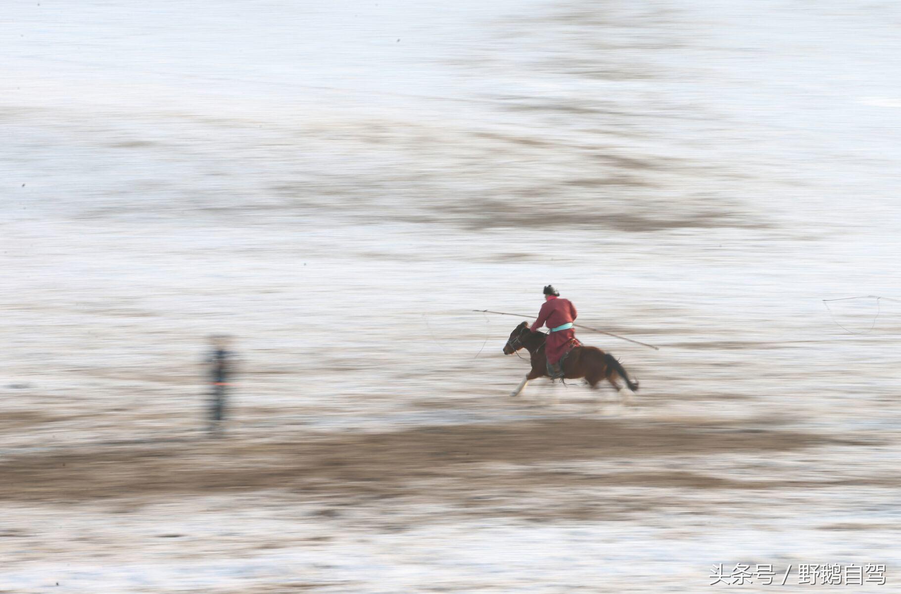 锡林郭勒盟那达慕自驾攻略,锡林郭勒冰雪那达慕完整版