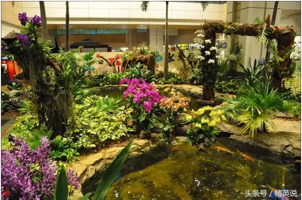 最好的免税店排名,口碑最好的免税店护肤品