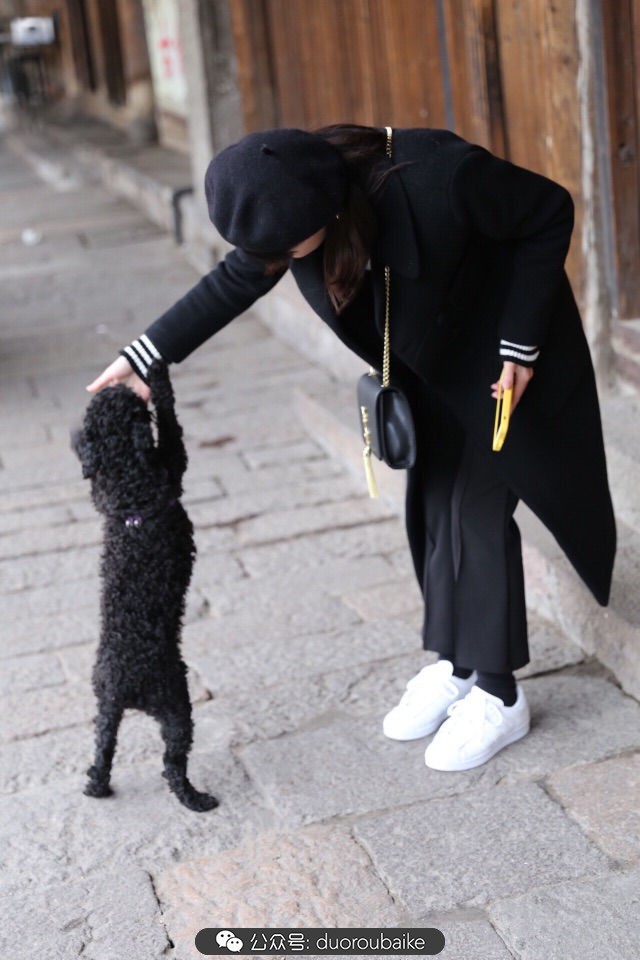 古镇寻肉记:那些旅行中遇见的植物!