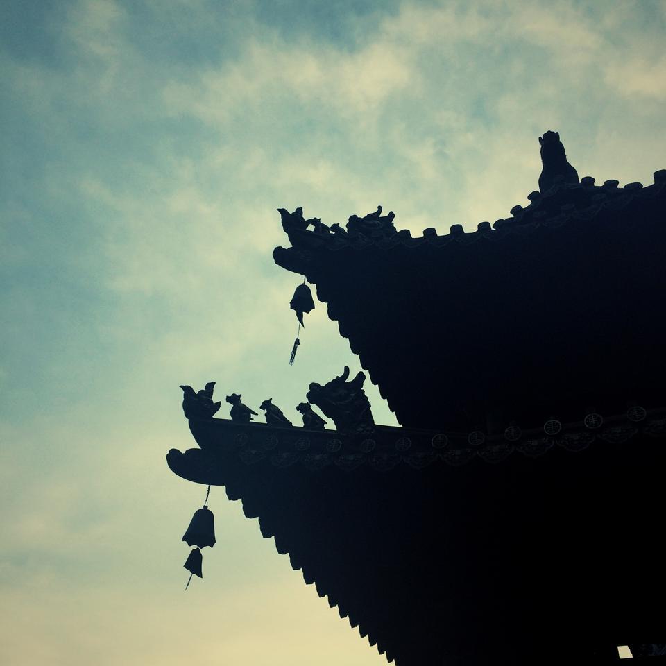 深圳哪里有大片的花海可以欣赏,深圳的花海有多美