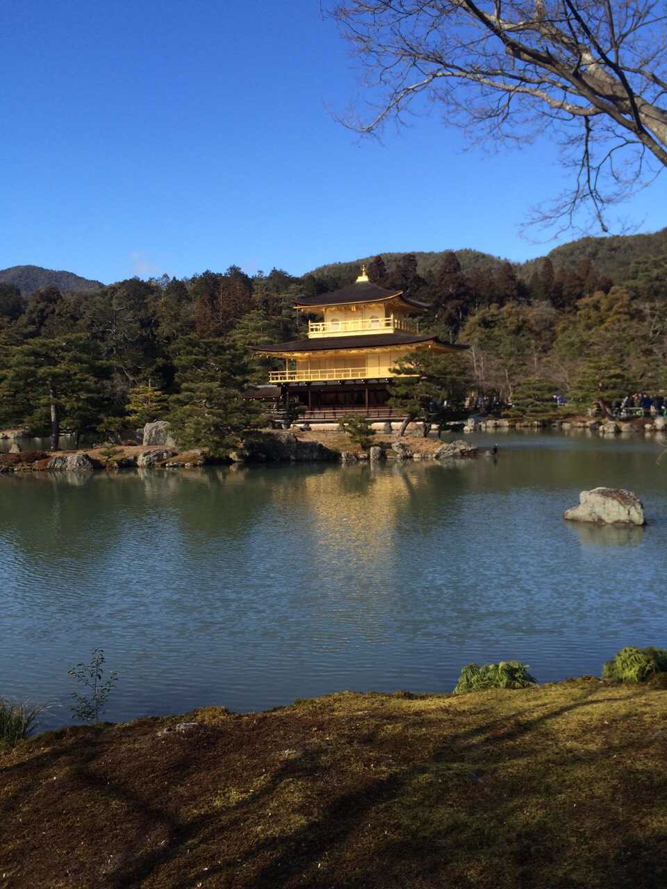 日本旅游马桶,日本旅游购物攻略一览表