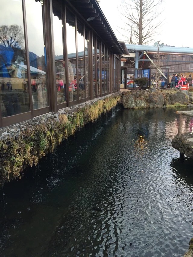 日本旅游马桶,日本旅游购物攻略一览表