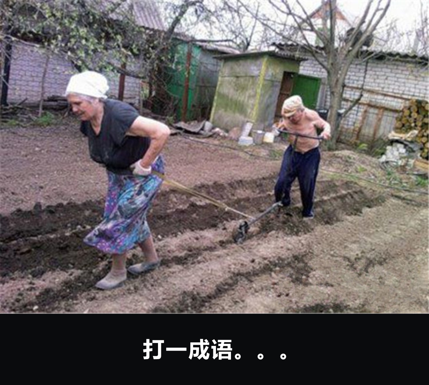 化妆品走心实用高级感,每日护肤品