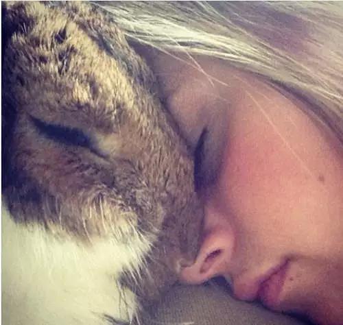 兔子好养吗,兔子属于动物吗